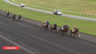Vidéo de la course PMU PRIX EMILE RIOTTEAU