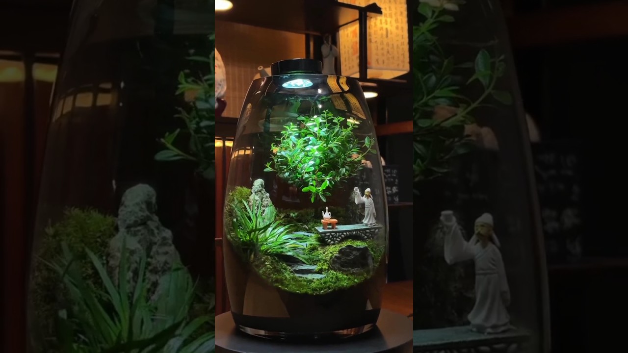 Terrarium plant 🥰 