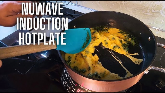 NuWave PIC Flex & 9-inch Duralon Fry Pan