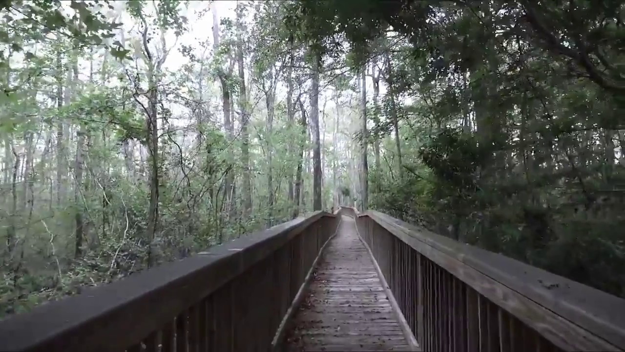 Cypress River Plantation Lot For Sale Myrtle Beach, SC YouTube