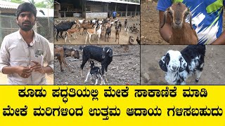 Goat farming in kudu system can earn good income from goats..GOAT FARM VIDEO