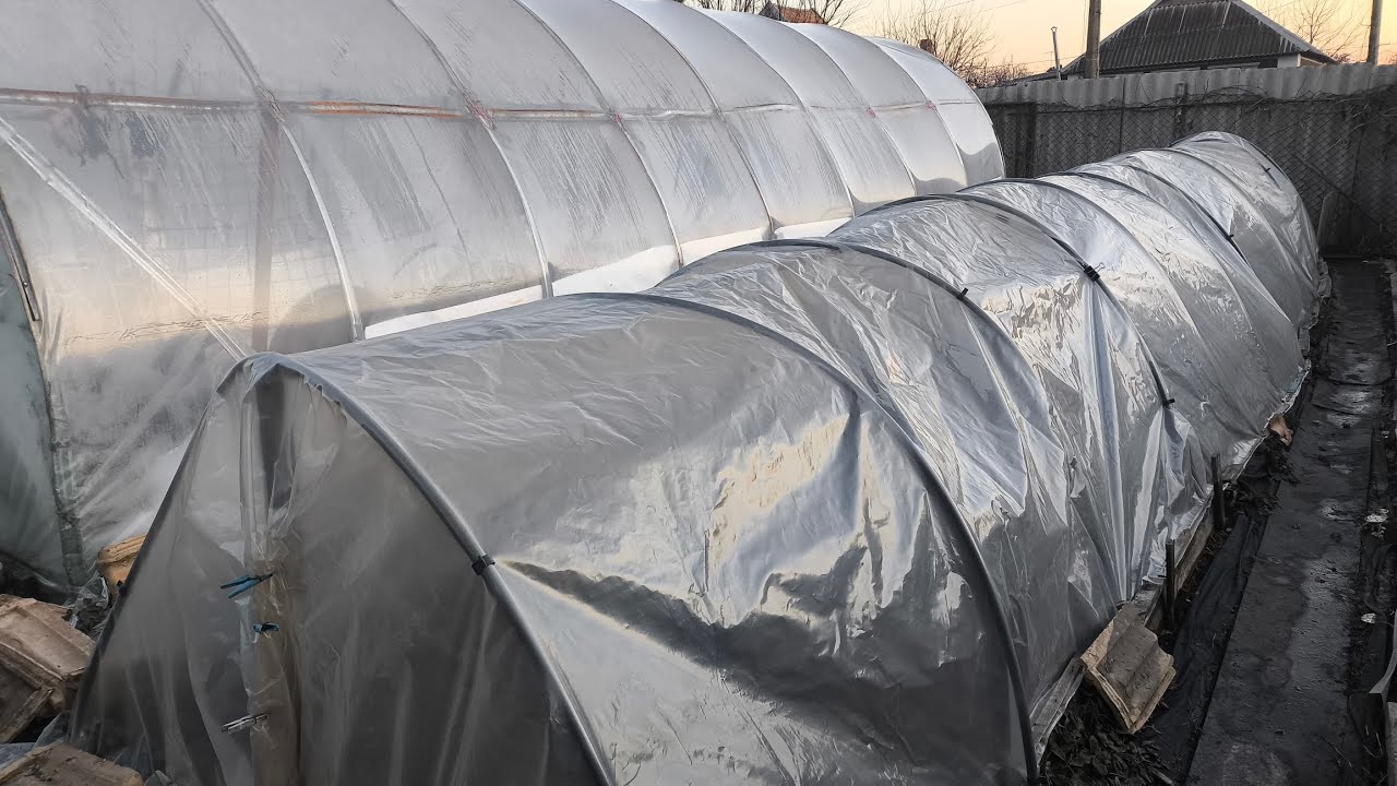 Парник для полуниці. #бджілка #українськийблогер #зима #блогер #полуниця #funny 