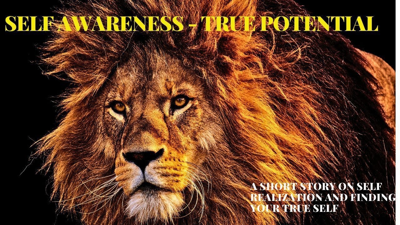Realize Your True Self | A Short Story On Self Realization | Lion and ...