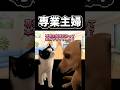【猫ミーム】専業主婦