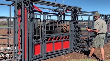 Algar Ind BK | Bees nek en lyfklamp