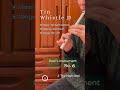 #Patriʼs_Instrument No.6 - #tinwhistle D (Bernard Overton) "The High Reel"