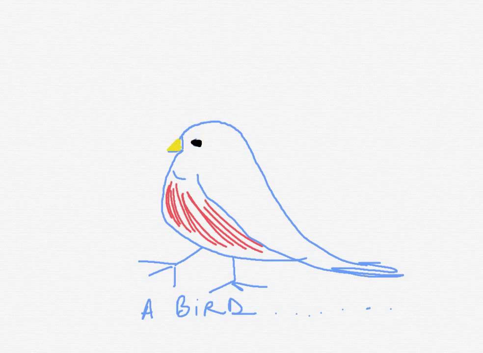 Simple bird