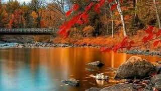 Deometro/princesa/ Musika Timor_Leste