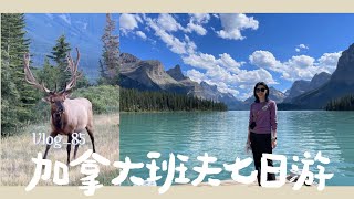 Vlog.85[4K] 加拿大卡尔加里+班夫+贾斯珀七天惊喜之旅行程攻略最美湖泊