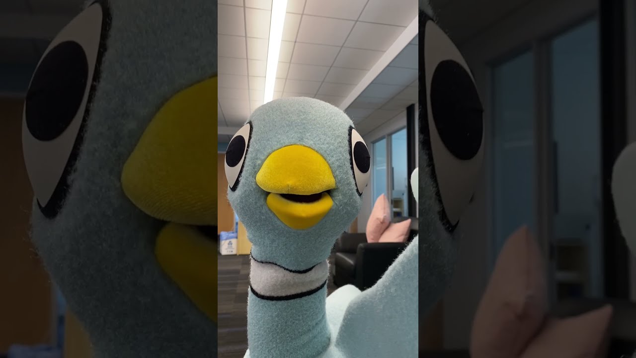 The Pigeon Wants To Be A Part Of Your Symphony Singing