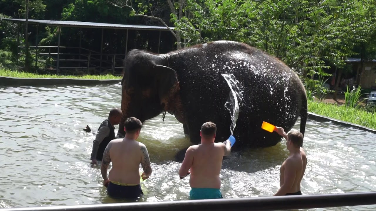 Samui Elephant Spa - Take a bath with elephants 05 Dec.2019 - YouTube