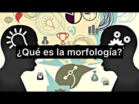 Vídeo: Què és La Morfologia