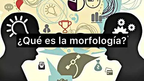 Che cosa si intende per morfologia?