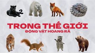 Giới Thiệu Kênh Redlist Story Nhật Ký Vảy Nhỏ