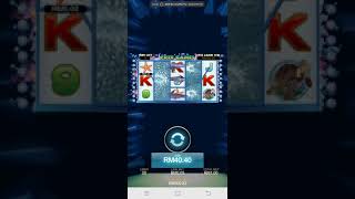 dolphin reef screenshot 5