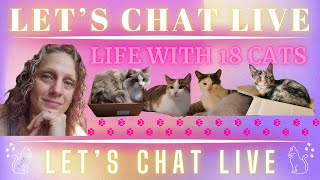 Let's Chat Live! | Sometimes Life Knows Best | Life With 18 Cats