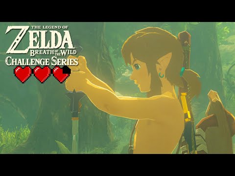 Wideo: Ktoś Już Pokonał Zelda: Breath Of The Wild DLC W Nowej, Trudnej Wersji Trial Of The Sword