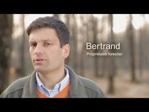 Merci la forêt - Le Propriétaire