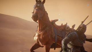 Assassin's Creed  Origins - Оригинальный мираж в пустыне