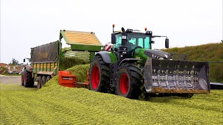 Mais 2021 : Fendt 1050 / Loonbedrijf Jansen / Claas Jaguar 9XX / 3X Fendt / John Deere / Krone / 4K