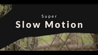 SUPER SLOW MOTION #41