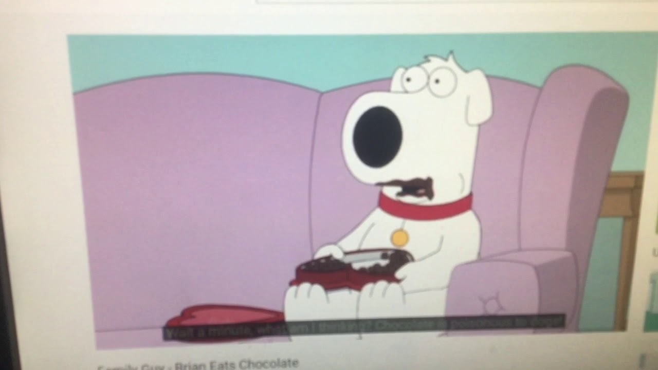 Funtimegamer74 Eats Chocolate Vomits & Dies YouTube