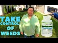 How to KILL WEEDS like a BOSS, Using TENACITY herbicide including Dandelions , Crabgrass , Clover