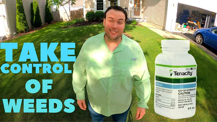 How to KILL WEEDS like a BOSS, Using TENACITY herbicide including Dandelions , Crabgrass , Clover