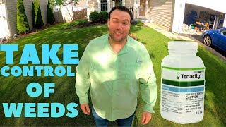 How to KILL WEEDS like a BOSS, Using TENACITY herbicide including Dandelions , Crabgrass , Clover