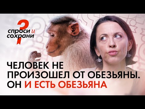 Видео: Человек — это обезьяна. Рассказывает Евгения Тимонова (@Vsekakuzverei-channel)