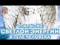 Общение с Фиэлем - Мощнейшая Чистая Энергия! Частный Сеанс Экзогипноза