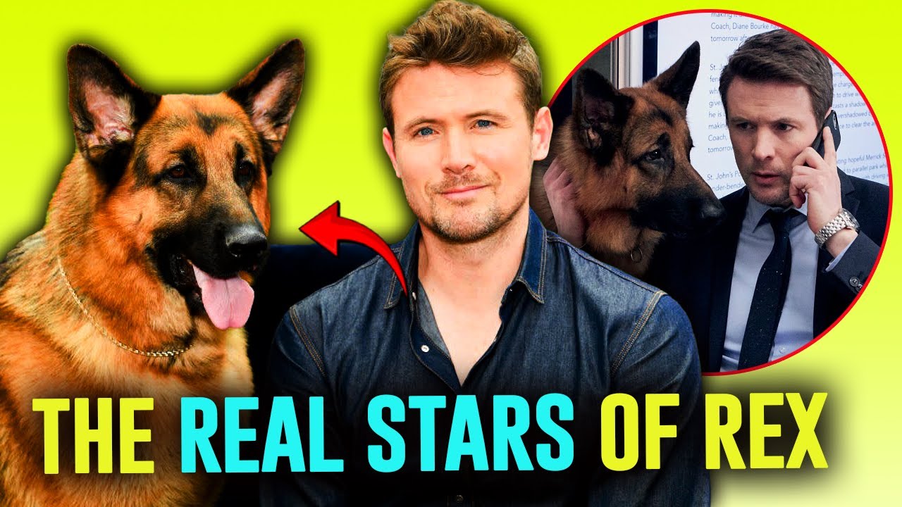 The Dogs Who Played Rex — TV’s Smartest German Shepherds
