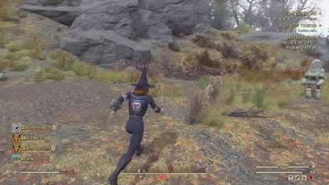 Fallout 76 pvp low level fun