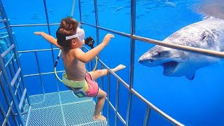 TRY NOT TO LAUGH CHALLENGE #1 Baby Shark Doo Doo