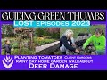 Lost episode 2023  planting tomatoes  mulching  rainy day home garden walkabout  deer damage