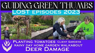 LOST EPISODE 2023 // PLANTING TOMATOES // MULCHING // RAINY DAY HOME GARDEN WALKABOUT // DEER DAMAGE