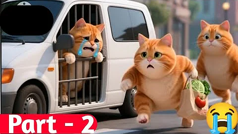 Mom Cat Saves Kitten from Car Animal Catcher Part-2