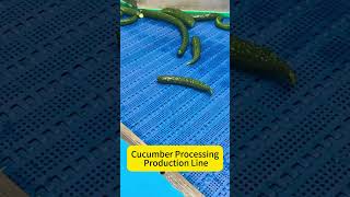Fruit and Vegetable Washing, Sterilization, and Processing Production Line #foodmachinery