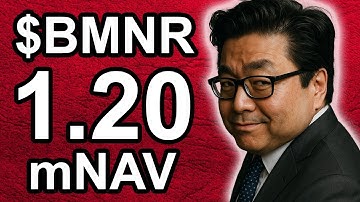 Newest $BMNR Holdings... GET READY Shareholders!