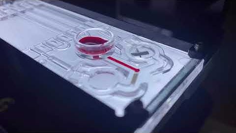 Platelet Function Tests, “ANYSIS”