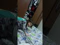 Jumpy