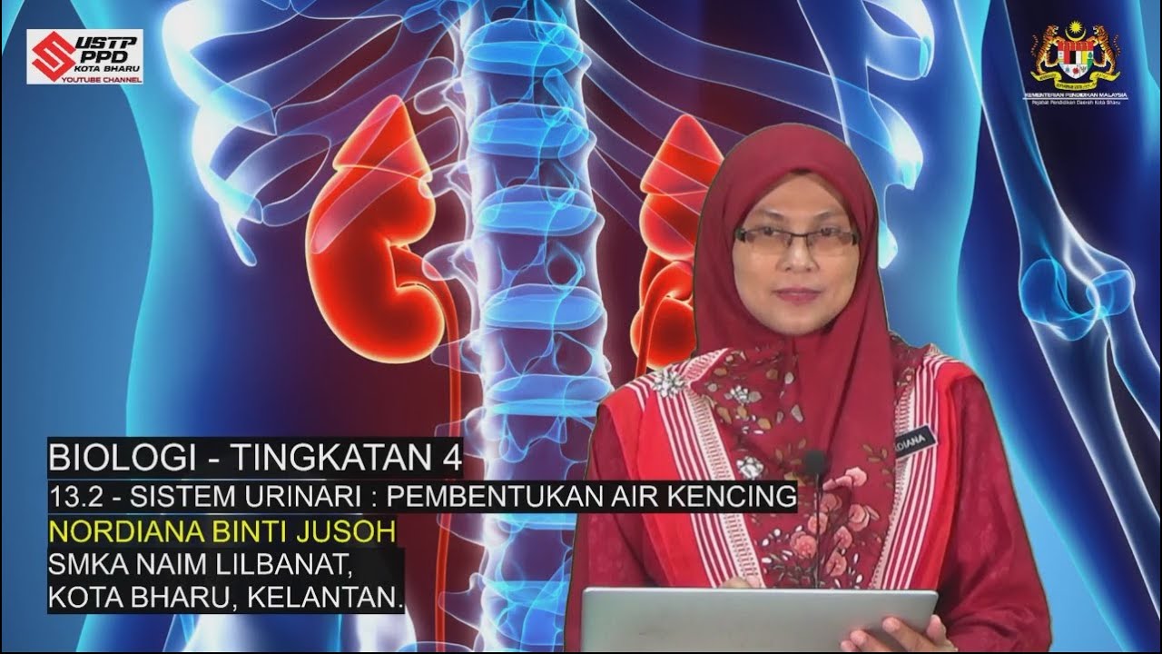 BIOLOGI - TINGKATAN 4 - SISTEM URINARI - PEMBENTUKAN AIR KENCING