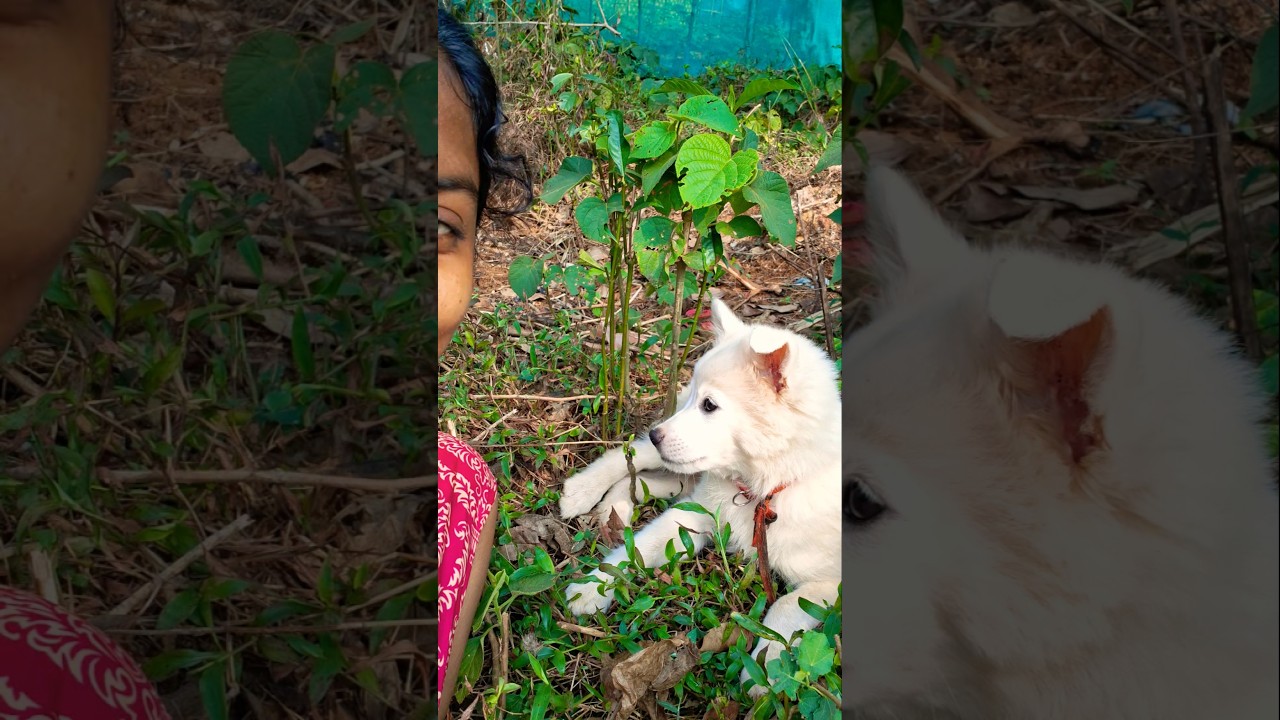 എന്റെ ഉലകം 🧿 