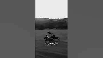 ماض كالسيف عطر المودة 