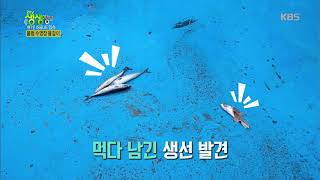 2TV 생생정보 - 물범 수영장 물갈이 대청소!.20180312