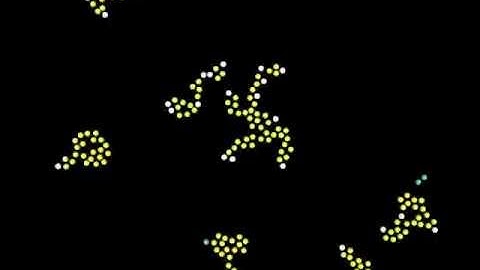 3Valency particles self organization