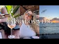 A magical week in barbadosholiday vlog