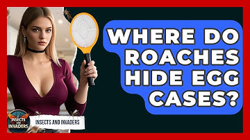 Where Do Roaches Hide Egg Cases? - Insects and Invaders