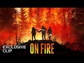 On Fire | Exclusive Clip - Dear Lord, Please Guide And Protect Us Through The Night