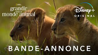 Bande annonce Grandir dans le monde animal 